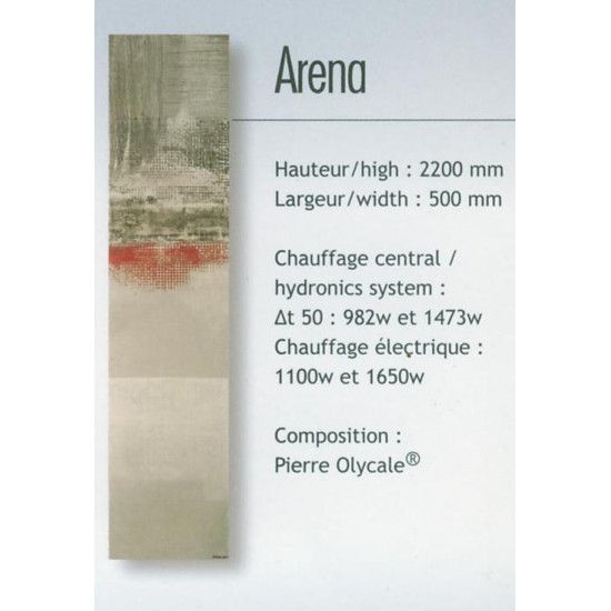 Cinier Arena